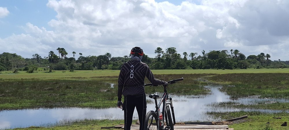 Amazônia ganhará trilha sinalizada de 460 km com lançamento previsto para a COP30 - Imagem do artigo